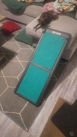 Pet Ramp Like New