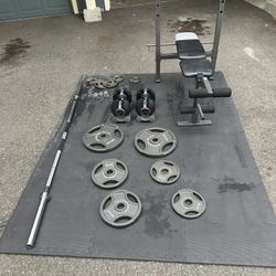 Starter Weight Set and Floor Guard. for Sale in Snoqualmie WA OfferUp