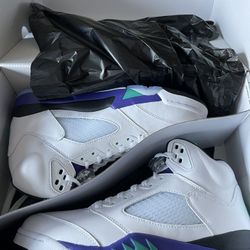Air Jordan 5 Retro Grape Sz 9.5 $260