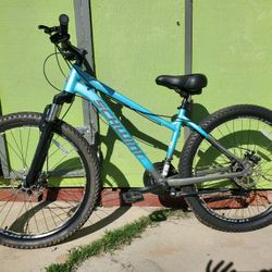 SCHWINN BIKE 