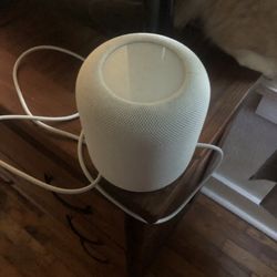 Brand New Apple Homepod 