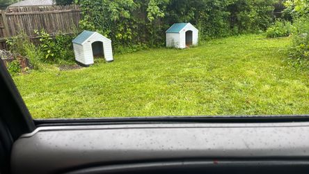 Two dog house
