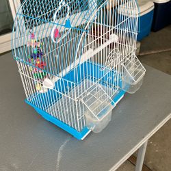 Bird Cage