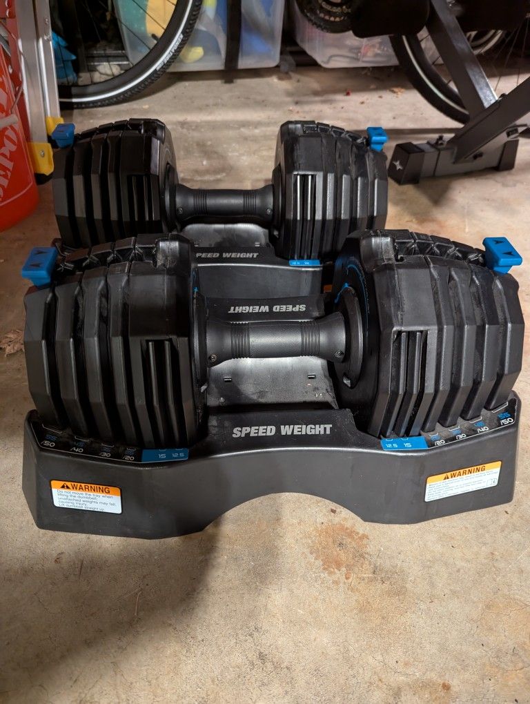 Nordictrack Adjustable Weights