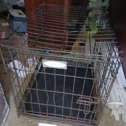 Dog Cage 
