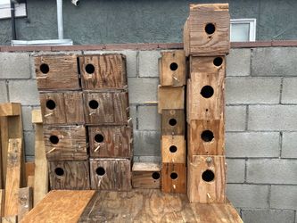 Nest /nidos