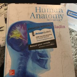 Human Anatomy 