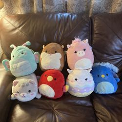 Squishmallows 
