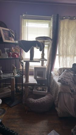 Free cat tree