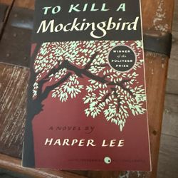 Book Mockingbird 