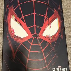 Spiderman Wooden Wall Decor