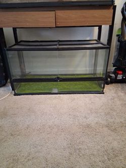 Reptile tank