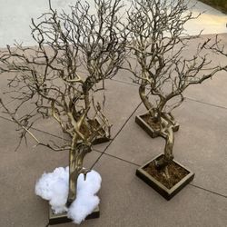 Decorative Tree (birthday/wedding Decor)