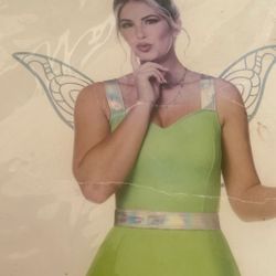 Tinker Bell costume adult size large 12–14 brand new $30
