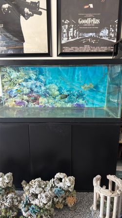 Fish Tank Set