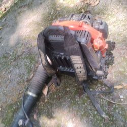 Echo Backpack Blower $175 Or Best Offer