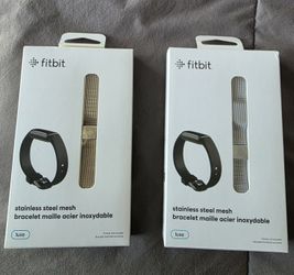 Fitbit Luxe Stainless Steel Mesh Accessory Band