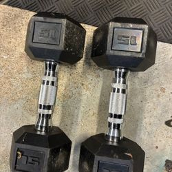15lb Dumbbells 