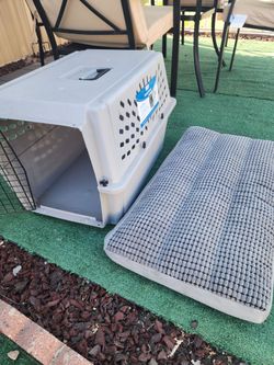 Pet crate and side bed