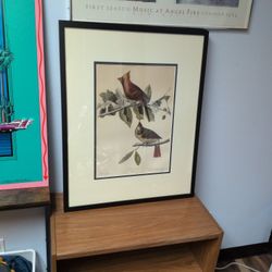 Framed Bird Print Artwork. Two Different Pieces Of Art Available Price Listed Is For Each One