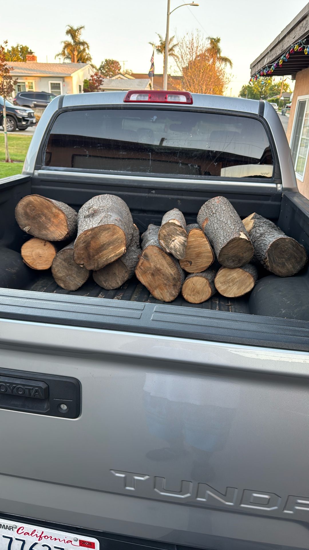 Firewood Afrocarpus