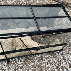 40 Gallon Tank 