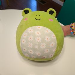 Flower-belly Wendy The Frog Squishmallow for Sale in Vancouver, WA - OfferUp