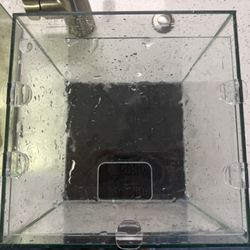 3 Gallon Fish Tank 