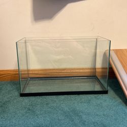 10g Tank 