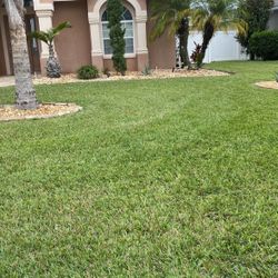 Estimado Gratis Corto Grama