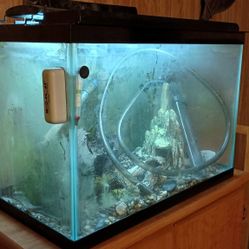 18 Gallon Fish Tank Aquarium Complete w/ Many Extras 