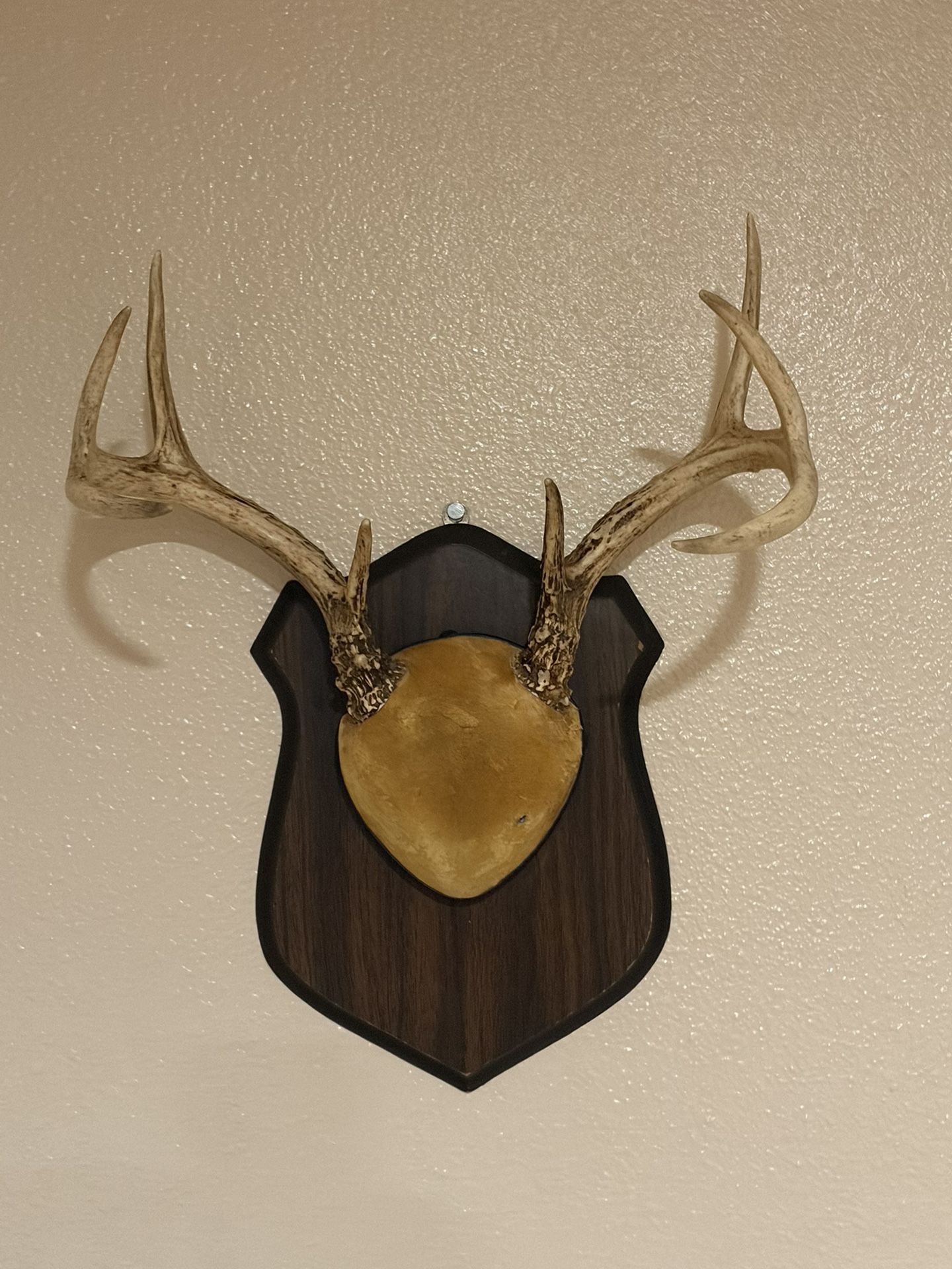 Vintage Whitetail Deer Antlers – Rustic Wall Decor
