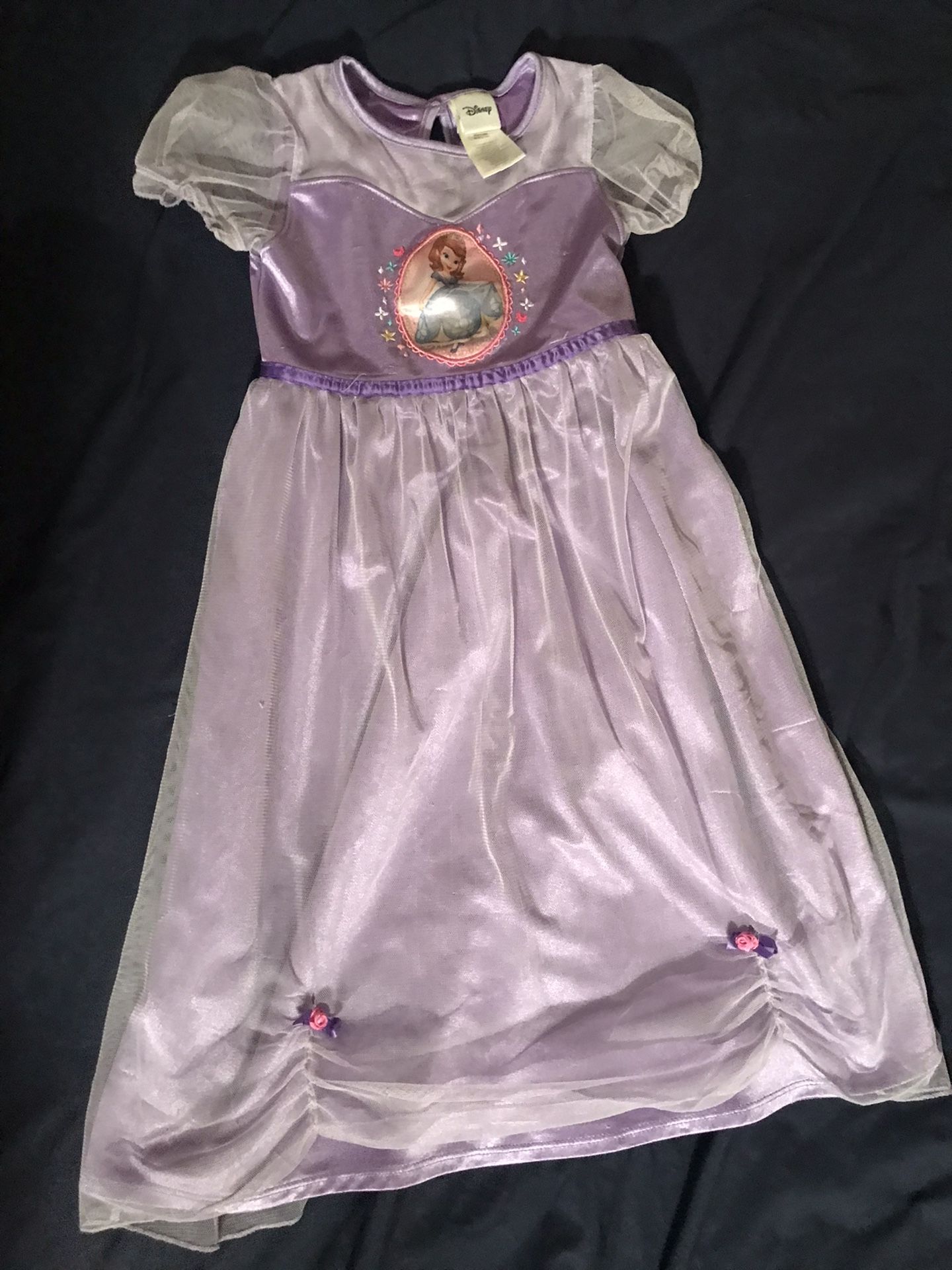 Disney brand princess costume