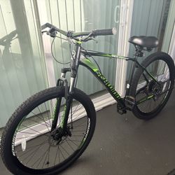 29” Schwinn Boundary