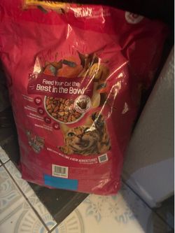 Free cat food