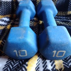 10 Pound Dumbbell Pair 