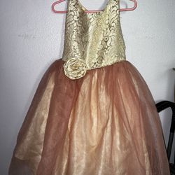 Toddler Girls Special Event Dress 