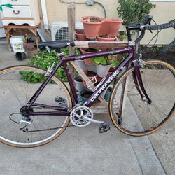 Connondale Bike