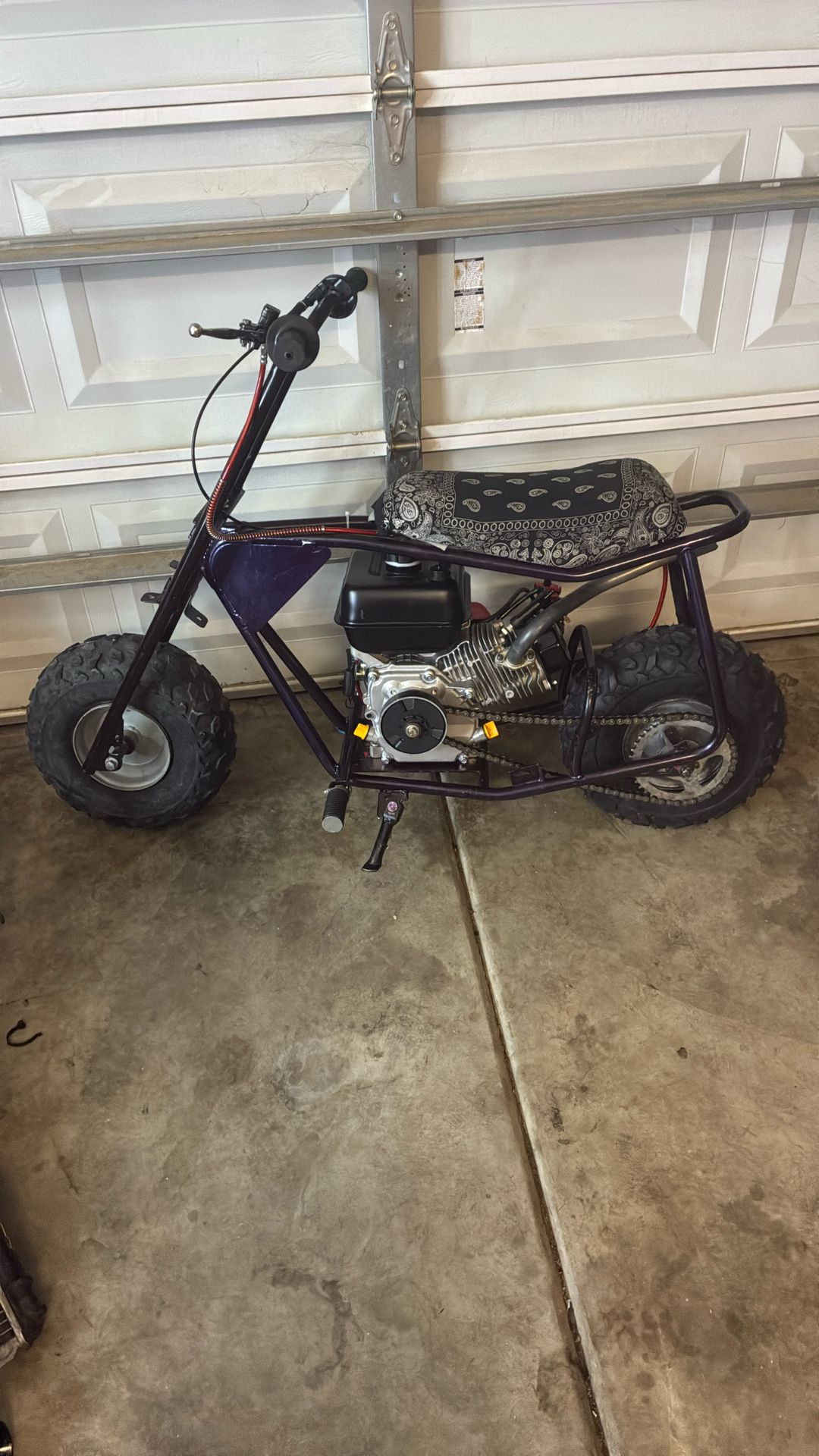 Mini Bike