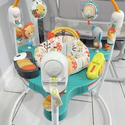 Fisher Price Baby Bouncer 
