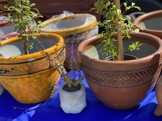 Pottery