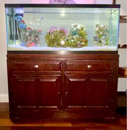 55 Gallon Saltwater Aquarium Complete Setup with Tank Accessories