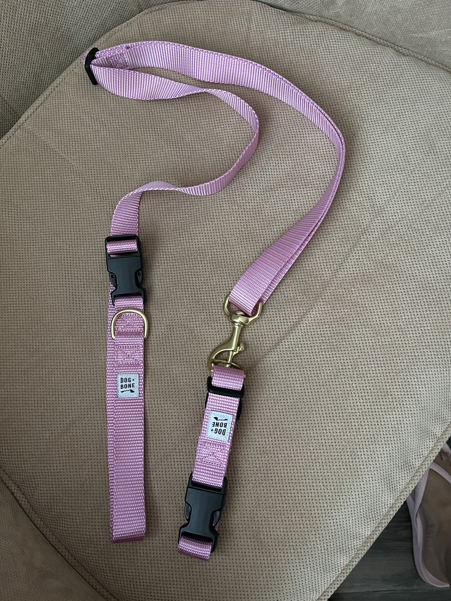 Dog Collar & Leash
