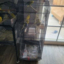 Brand New Bird Cage 🐦 With Stand