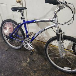 21 Speed Mt Bike 