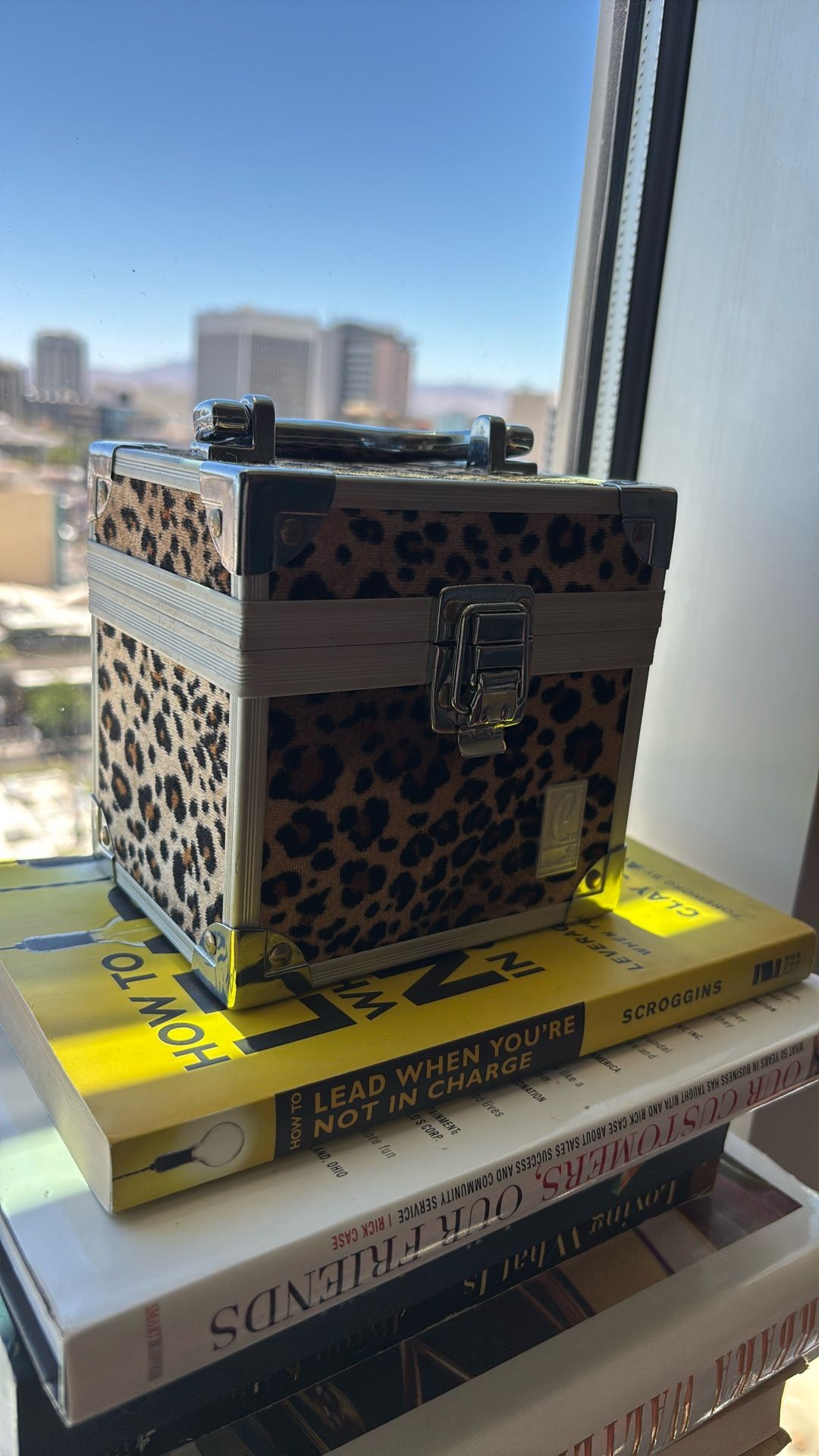 Cheetah Print Mini Caboodle