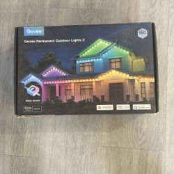 Govee Lights