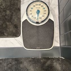 Scale 