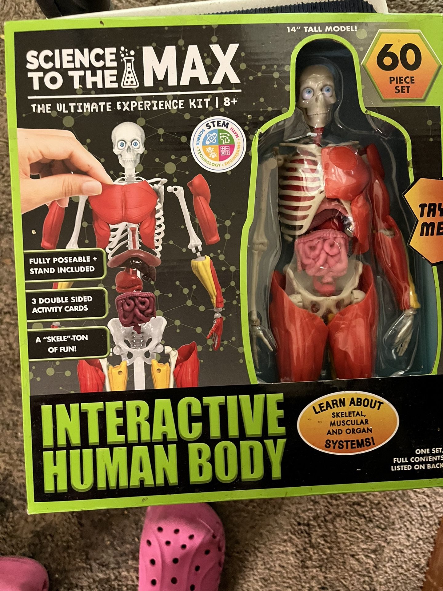 Science to the Max Interactive Human Body Kit