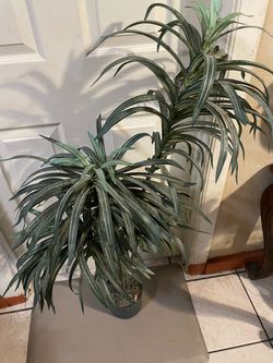 Faux Plant